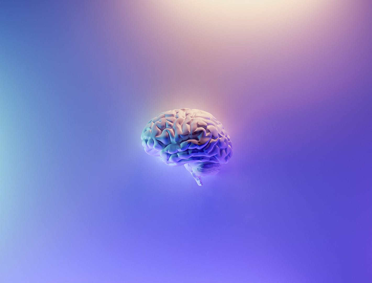 milad-fakurian-58Z17lnVS4U-unsplash milad-fakurian-58Z17lnVS4U-unsplash